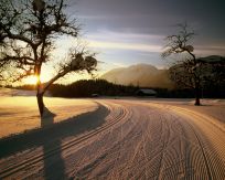 Gasthof-Pension Kaiserblick