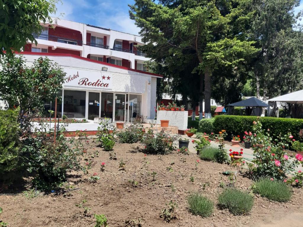 Hotel Rodica