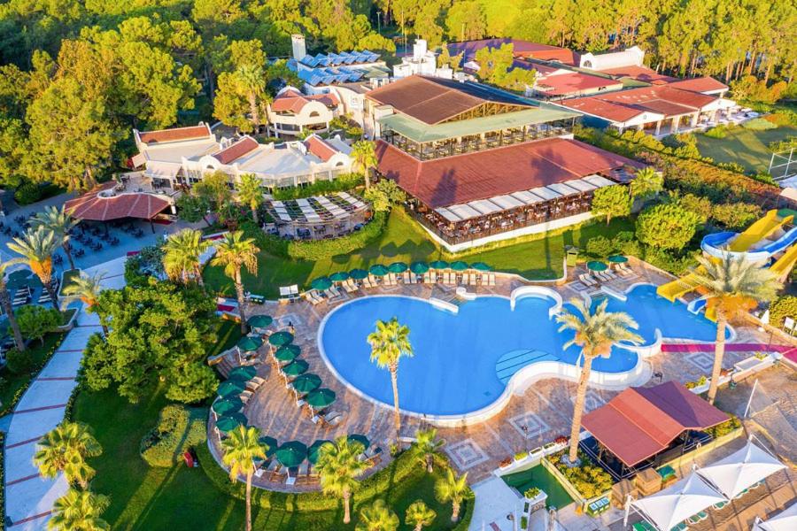 Gypsophila Club Marine