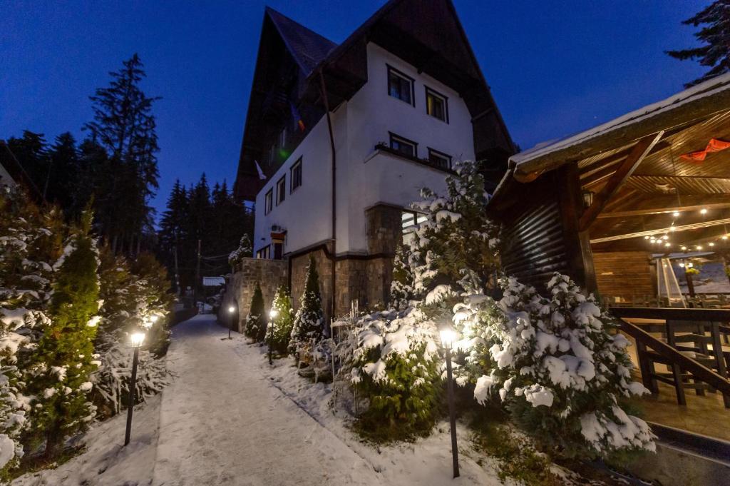 Hotel Elexus Boutique