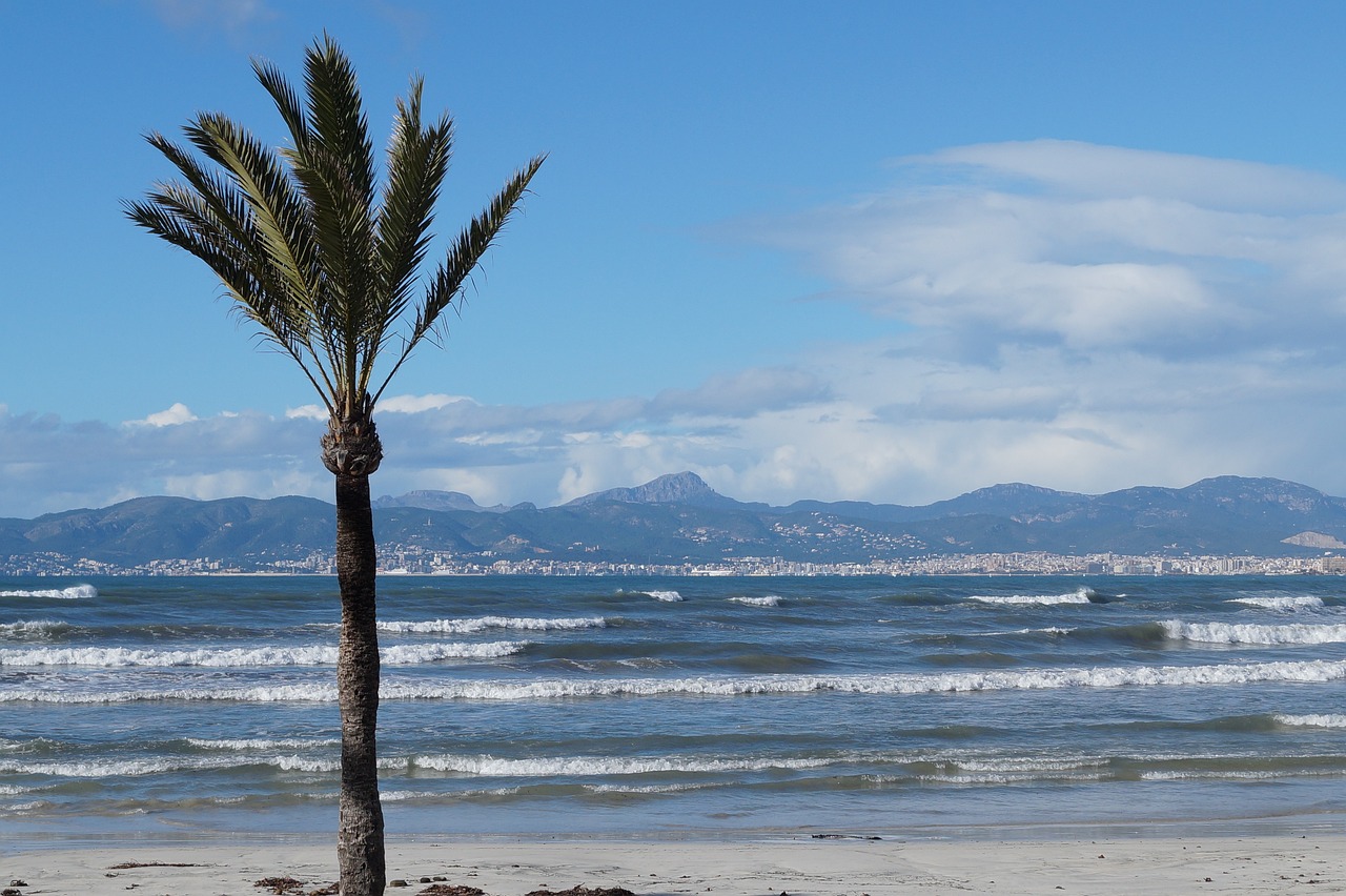 Charter Mallorca - Iberostar Cristina, cu plecare din Craiova