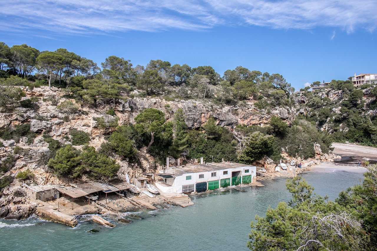 Charter Mallorca - Zoetry Mallorca, cu plecare din Craiova