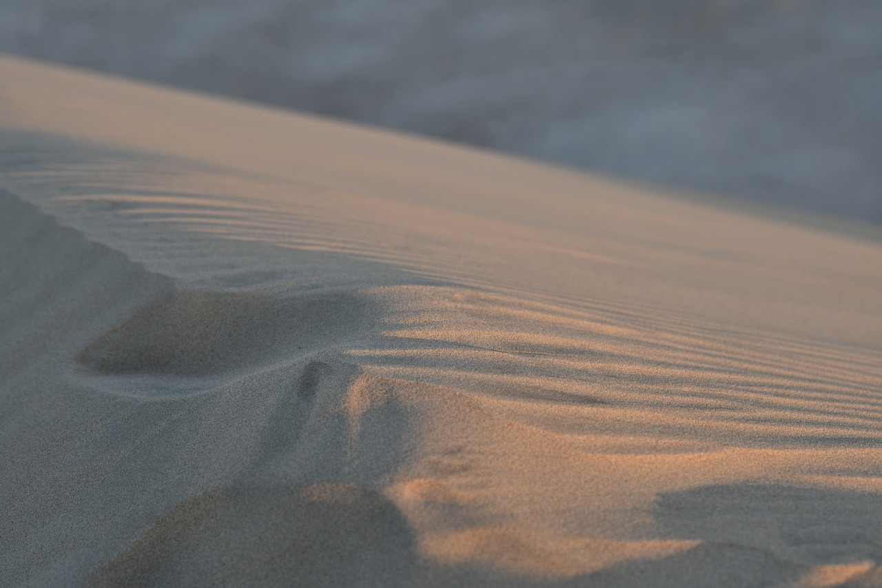 Charter Qatar - InterContinental Doha The City, cu plecare din Bucuresti